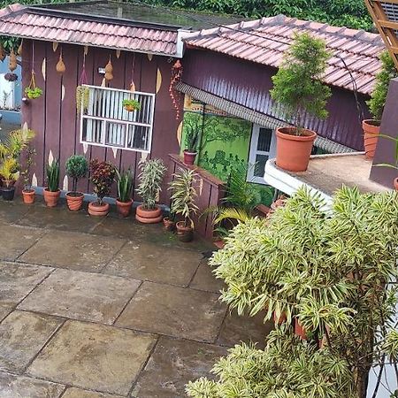 Pepper Valley Resort Kalpetta Luaran gambar