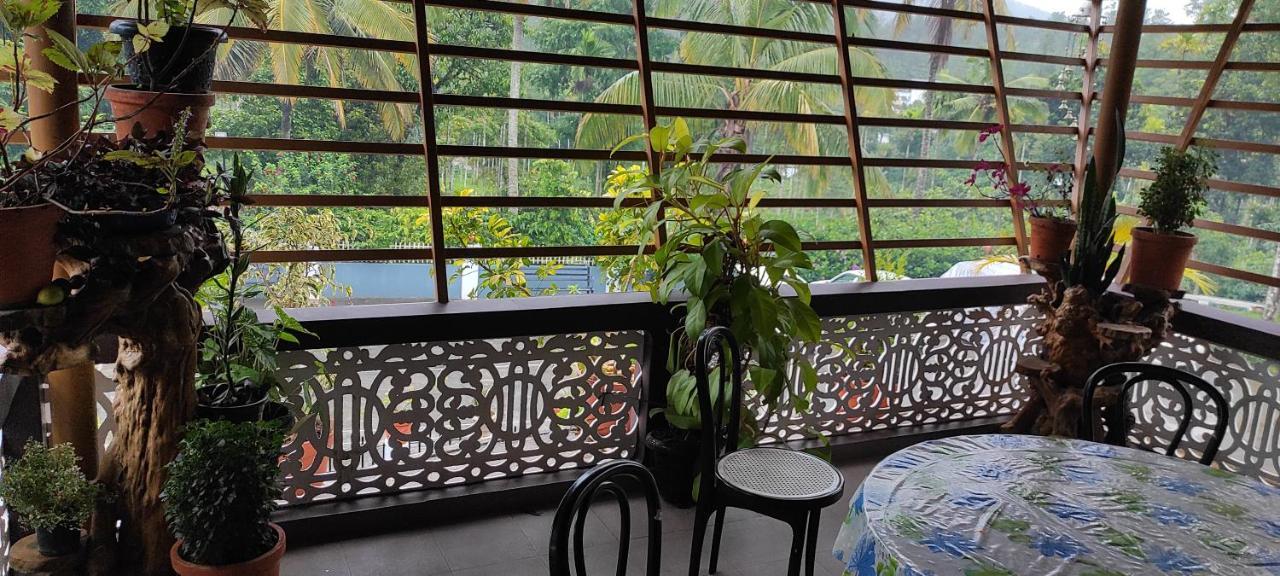 Pepper Valley Resort Kalpetta Luaran gambar