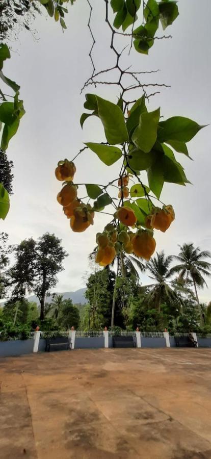 Pepper Valley Resort Kalpetta Luaran gambar