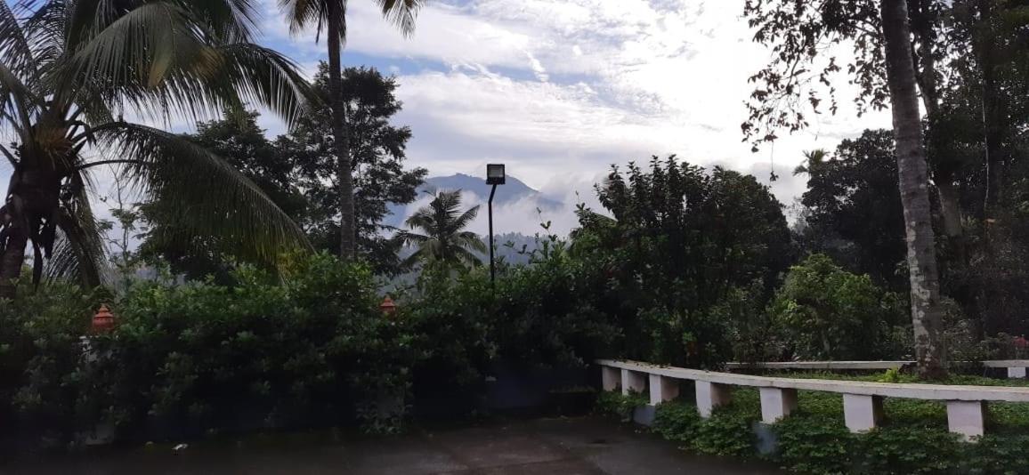 Pepper Valley Resort Kalpetta Luaran gambar